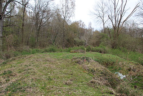 Bewachsenes Gelände mit Bäumen und Sträuchern. In der Mitte ist die mit Gras bedeckte Decke des ehemaligen Gewölbekellers zu sehen.