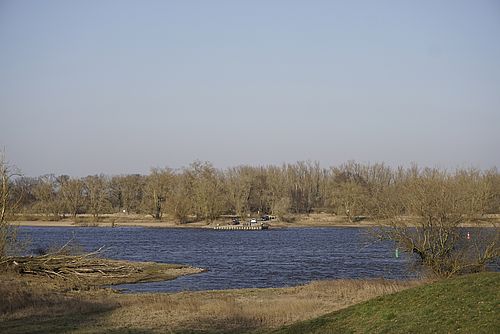 Der Fluss Elbe und ein Ufer.