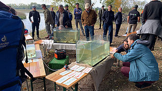 Mehrere Menschen stehen an einem Gewässerufer um Tische mit gläsernen Hälterungsbecken und betrachten die darin gezeigten Fische.