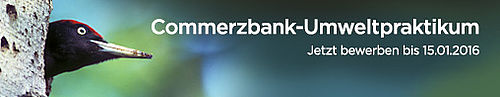 Banner vom Commerzbank-Umweltpraktikum.