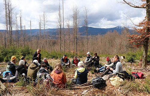 Die Freiwilligen sitzen in einem Kreis auf dem Boden und hören dem Seminarleiter zu. Im Hintergrund sieht man bis in die Ferne tote Kiefern des Bayrischen Waldes.
