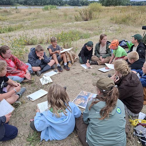 Eine Gruppe von Kindern und Erwachsenen sitzt auf sandigem Boden am Rand einer Auenlandschaft. Sie arbeiten mit Klemmbrettern und Arbeitsblättern; im Hintergrund ist die Elbe zu sehen.