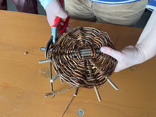 Weidenflechten, Foto: NABU Rühstädt, Lizenz: NABU Rühstädt