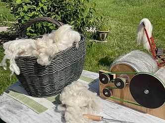 Kardieren, Foto: Maria Gemind, Lizenz: NABU Rühstädt